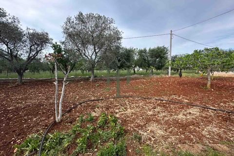 Masia a Ostuni, Brindisi, Ostuni - € 270.000 | Ref: Villa Columbri - foto 22